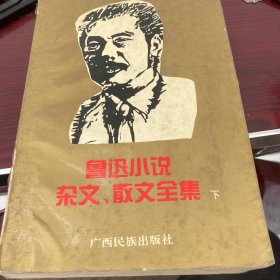 鲁迅小说杂文散文全集下册