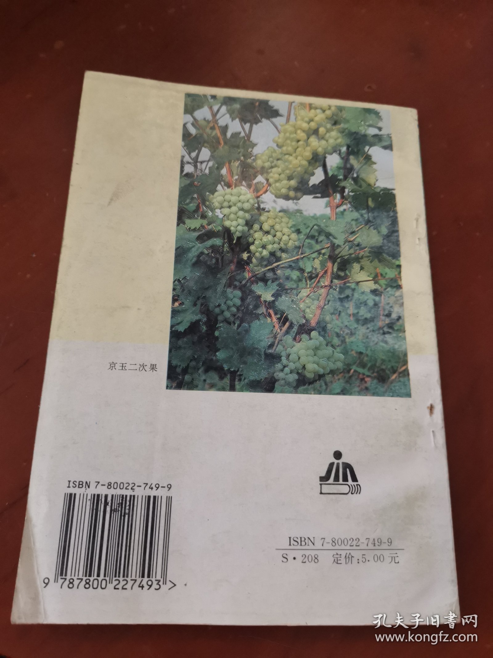 盆栽葡萄与庭院葡萄