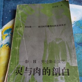 灵与肉的剖白