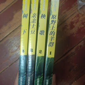 迟子建文集1到4