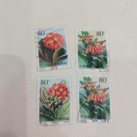 邮票 2000-24T（君子兰 4枚信销）