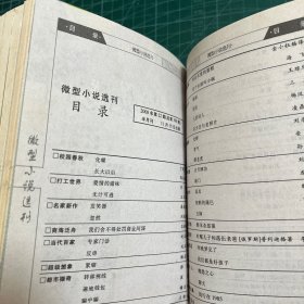 微型小说选刊2008.17-24（8册合售）