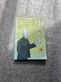 胡根天文集