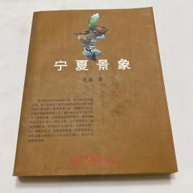 宁夏景象