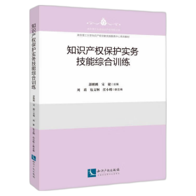 知识产权保护实务技能综合训练