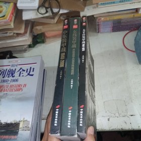 共三册 中东装甲战1948-2006 东线装甲车苏联装甲兵是怎样炼成的 太平洋装甲战1941一1975