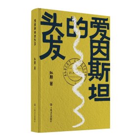 爱因斯坦的头发（孙颙奇思小说系列 —太史公笔法书写奇人奇事：一枚神秘邮票的寻觅之旅，一场战火之下的死里逃生）