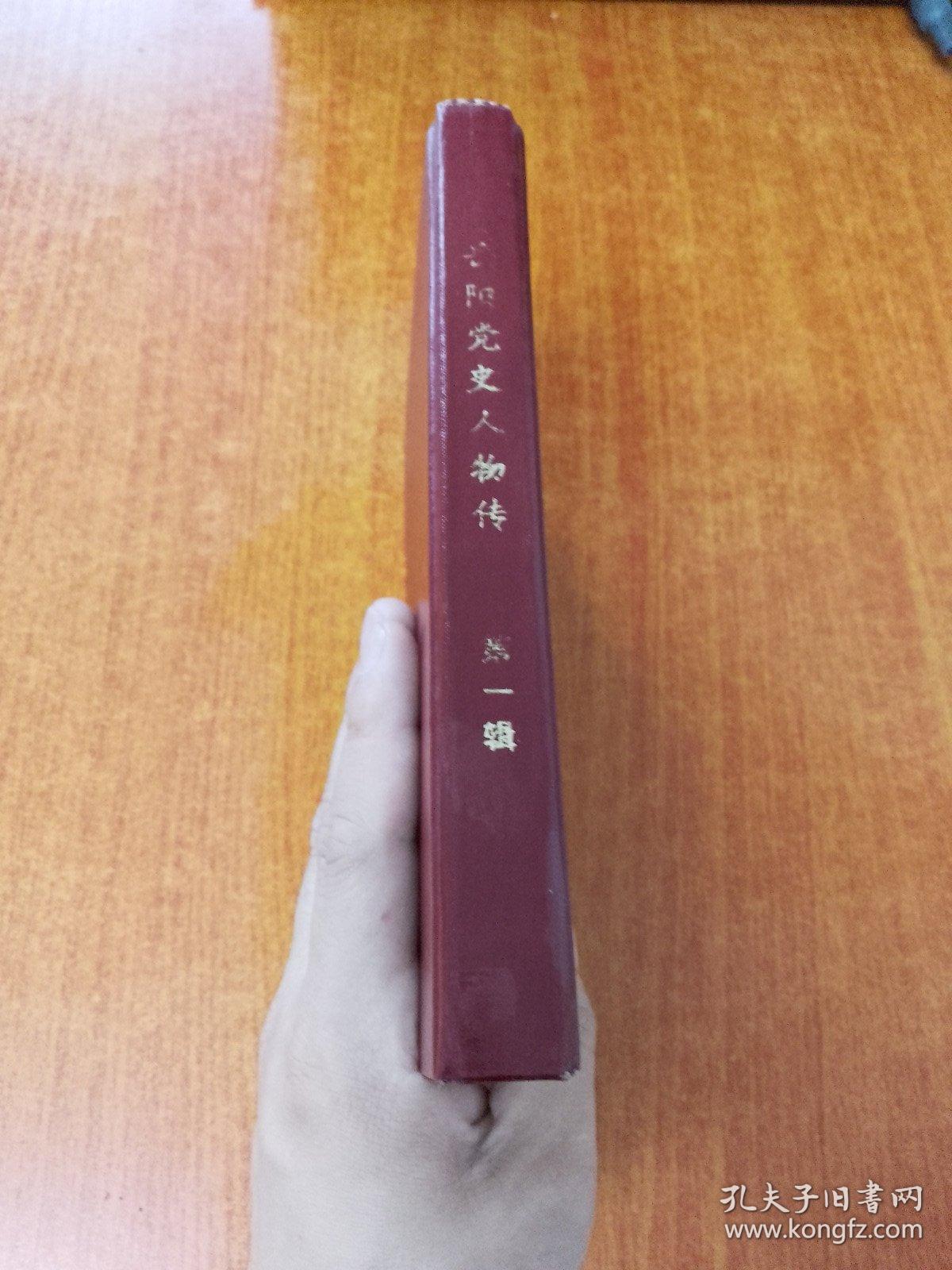 岳阳党史人物传 第一辑