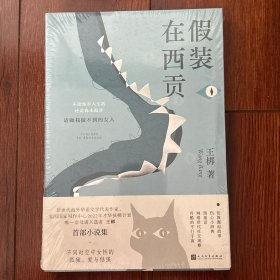 假装在西贡（王梆首部小说集，讲述不同时空中女性的孤独、爱与倔强。）