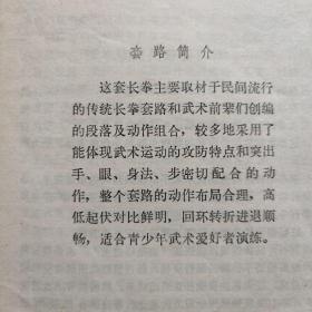 飞龙长拳。