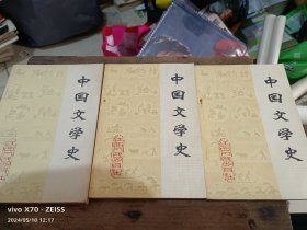 中国文学史三卷本