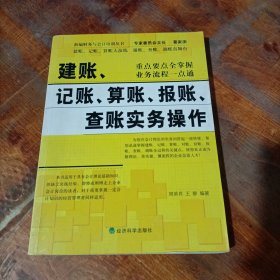 建账、记账、算账、报账、查账实务操作.