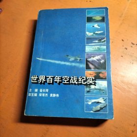世界百年空战纪实