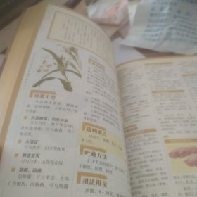 生活中常用的200种道地药材