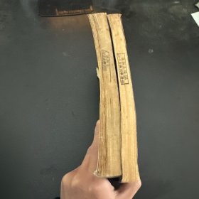 最后的遗言一赫鲁晓夫回忆录续集（上下卷）