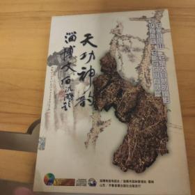 光盘：天功神韵 淄博文石 地下箱子