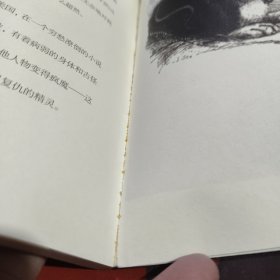 猫火车，或朵朵的一朵花儿（一版一印）如图 微瑕