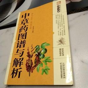 中草药图谱与解析