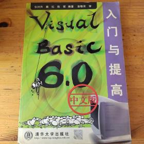 Visual Basic 6.0中文版入门与提高