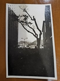 五十年代香港九龙尖沙咀北京道黑白老照片