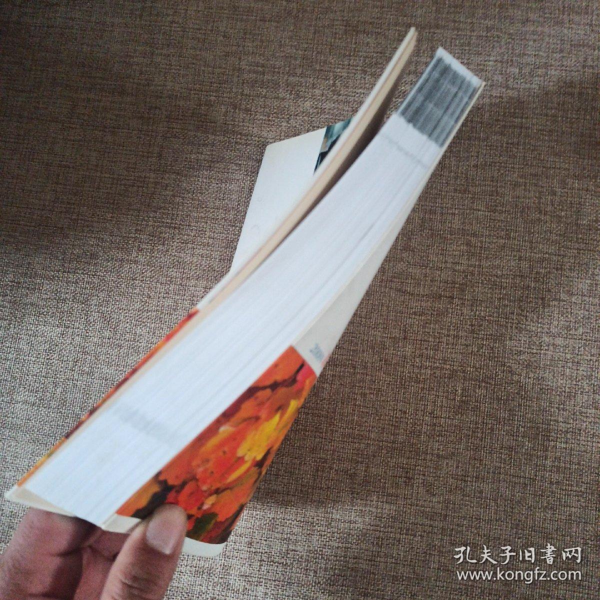 2008年冰心儿童文学新作奖获奖作品集