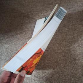 2008年冰心儿童文学新作奖获奖作品集