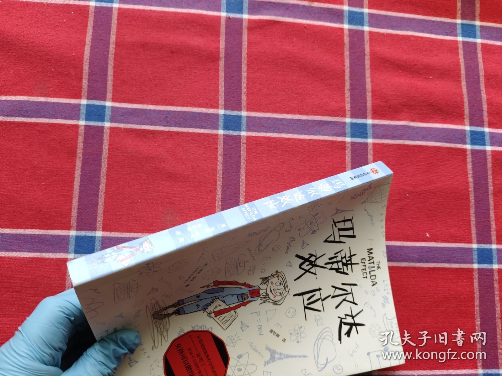 玛蒂尔达效应（我爱读·大奖小说系列）