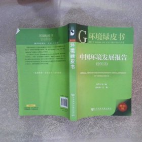 中国环境发展报告2013