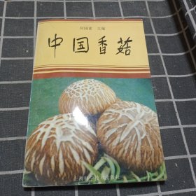 中国香菇