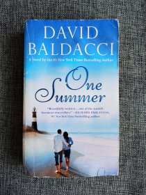 【英文原版】One Summer David Baldacci 大卫 鲍达奇 家庭治愈小说 Hallmark电影小说。正版书。多平台同时推送，看好请及时下单。