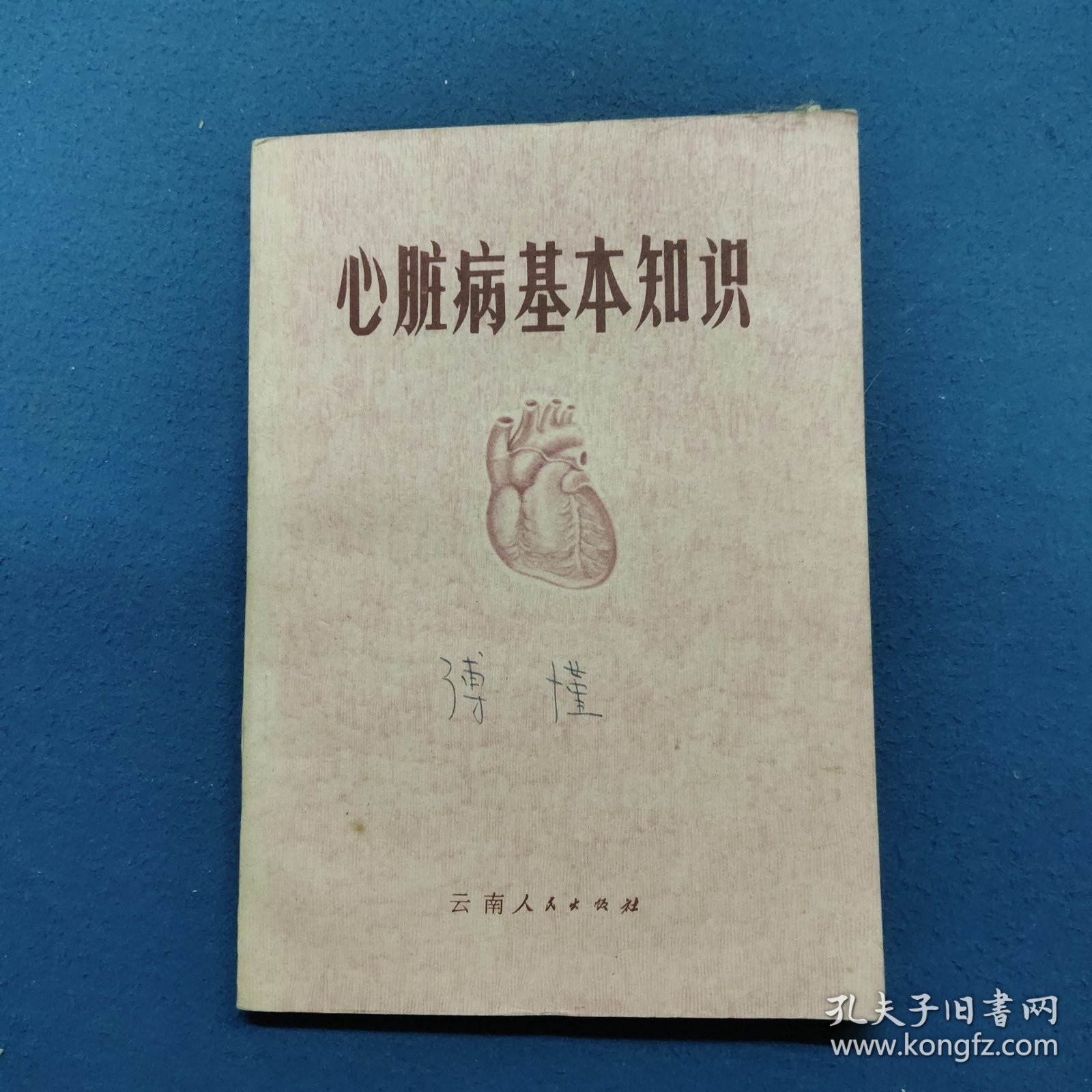 心脏病基本知识