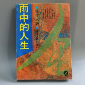 雨中的人生