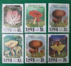 朝鲜邮票 1991年 蘑菇 5全新