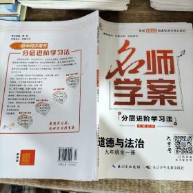 名师学案(分层进阶学习法)道德与法治九年级全一册