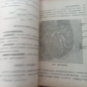 医士学习丛书病理学