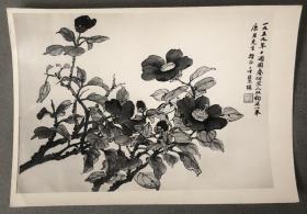 1959年国庆 慧珠绘画花卉老照片