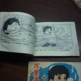 万里寻母记（上中册）