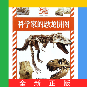 科学家的恐龙拼图/自然趣玩屋