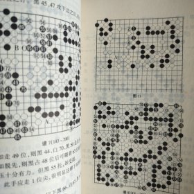 围棋精彩对局丛书--本因坊精彩对局