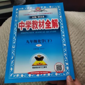 中学教材全解 九年级化学下 人教版 2017春