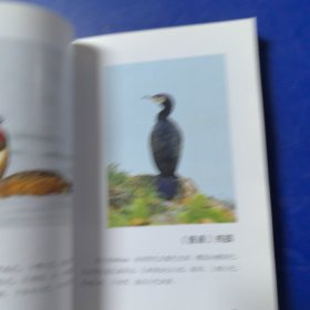 （库存新书低价出售）山西省陆生野生动物疫源疫病监测手册