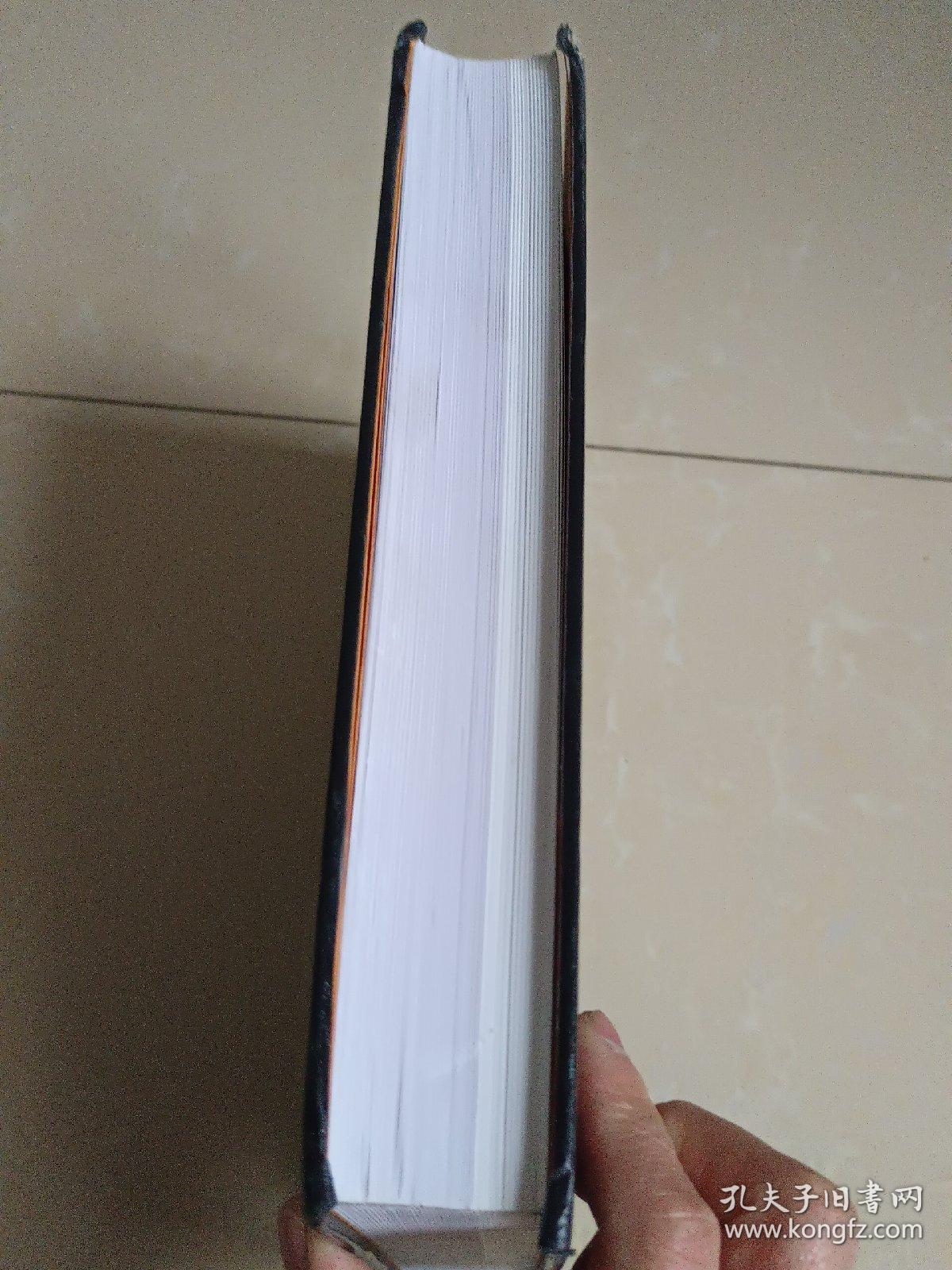 郾城郝家台 精装