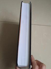 郾城郝家台 精装