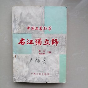 中国工农红军右江独立师（2）