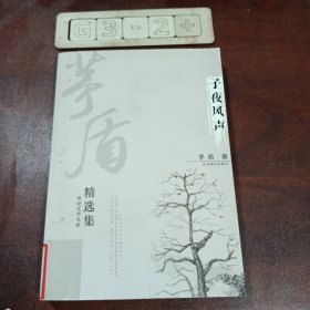 茅盾精选集 子夜风声