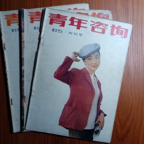 《 青 年 咨 询 》创刊号 1985年 ———— 青年的挚友，着眼于青年最关心的事情，回答青年最迫切的问题，探索青年最隐秘的世界，传输青年最需要的知识，让青年们在欢乐中增强生活的信心，化苦恼为前进的动力， 鼓足生命的航帆，冲破陈旧观念的束缚，奋勇投身到改革的洪流中去。青年咨询～～是我国青年读物的百花园里又一朵鲜花迎着强劲的春风开放了。