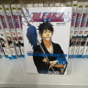 BLEACH 境·界30：心在你那里