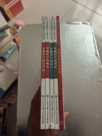 DK儿童穿越时空系列（5册）