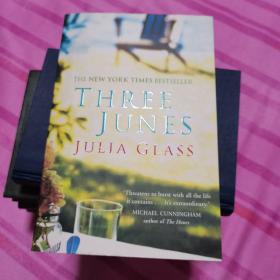 three June's   Julia glass 纽约畅销书 绝版