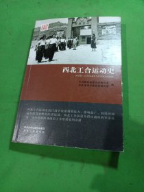 西北工合运动史